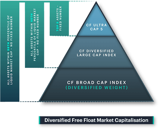 CF Broad Cap Index