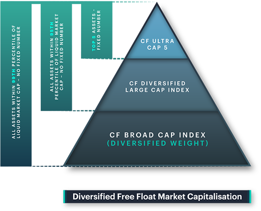 CF Broad Cap Index